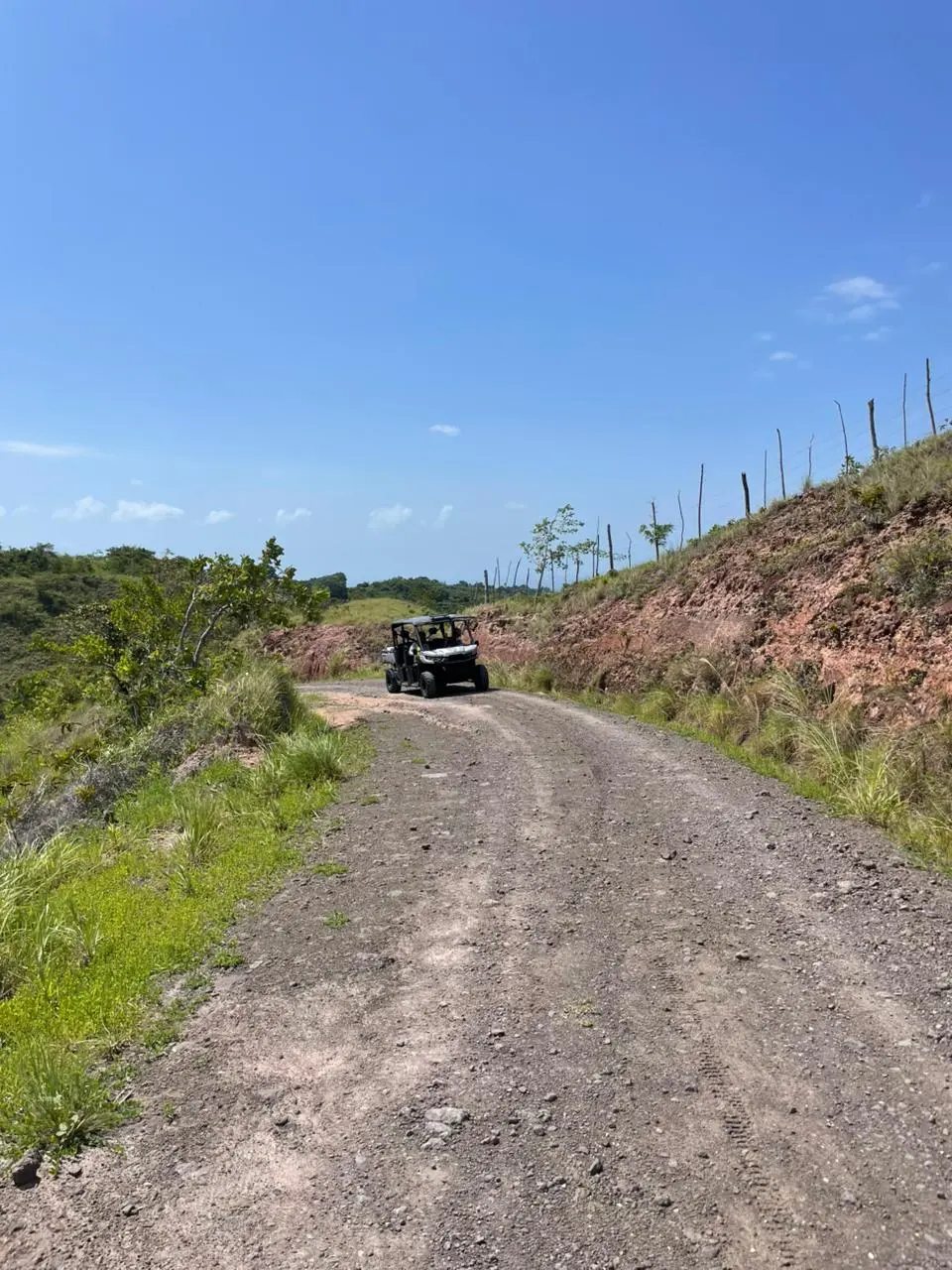Ruta de mulita en la montaña